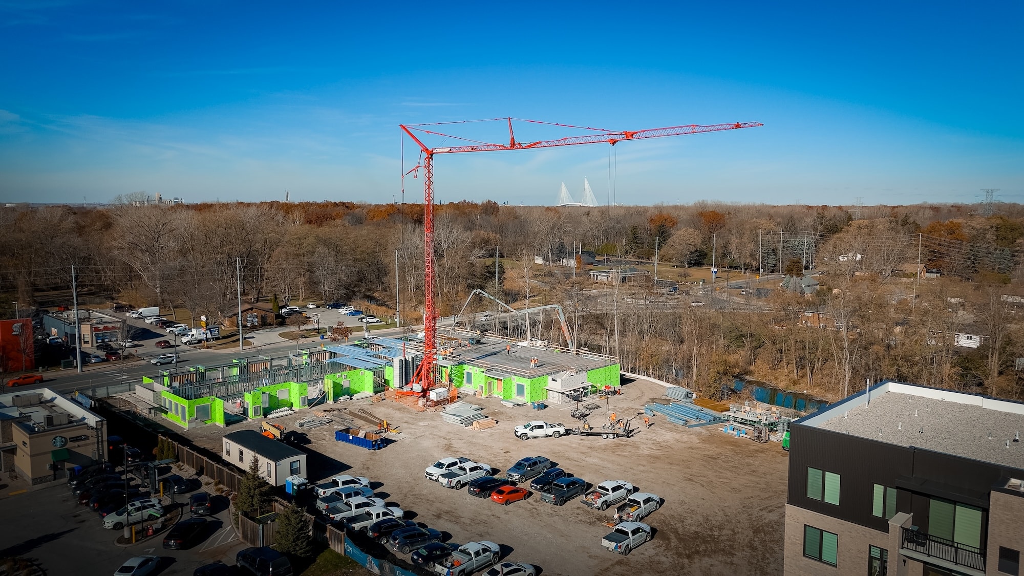 The Griffon - Image 2